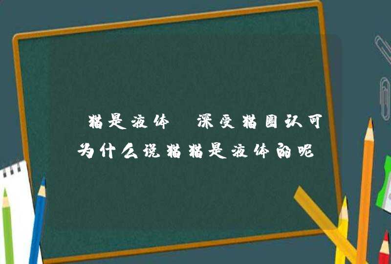 “猫是液体”深受猫圈认可，为什么说猫猫是液体的呢？,第1张