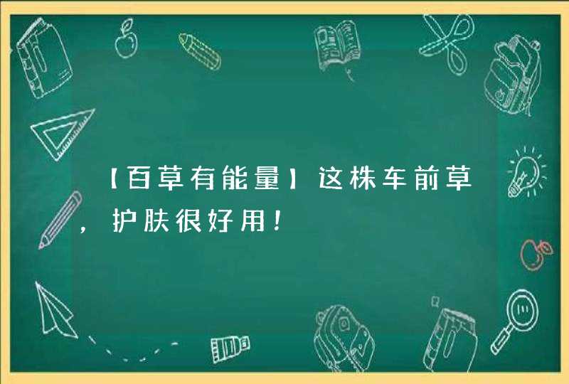 【百草有能量】这株车前草，护肤很好用！,第1张