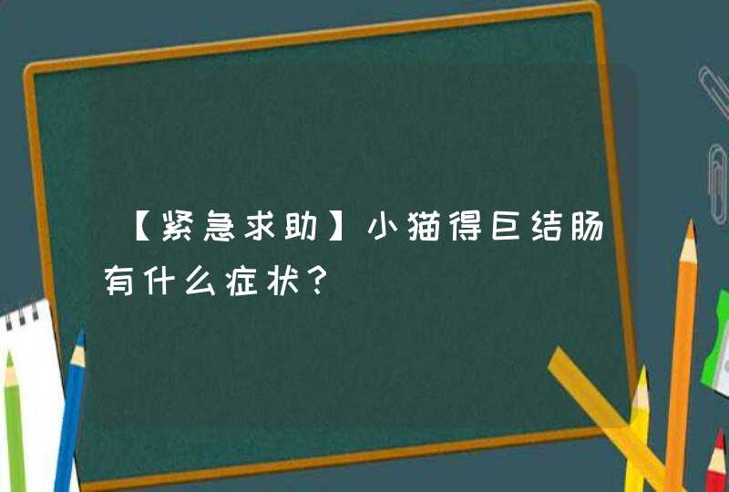 【紧急求助】小猫得巨结肠有什么症状？,第1张