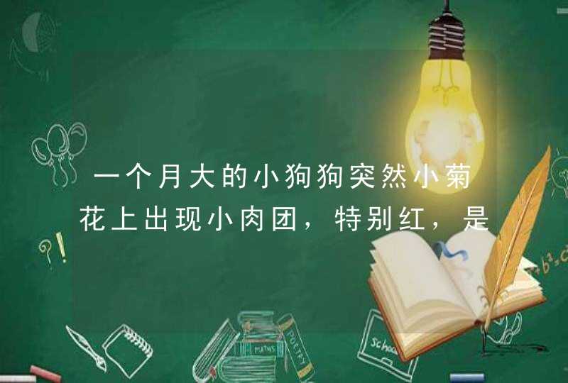 一个月大的小狗狗突然小菊花上出现小肉团，特别红，是什么原因？怎么办啊？,第1张