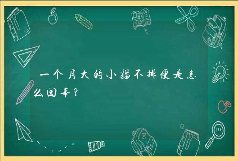 一个月大的小猫不排便是怎么回事？,第1张