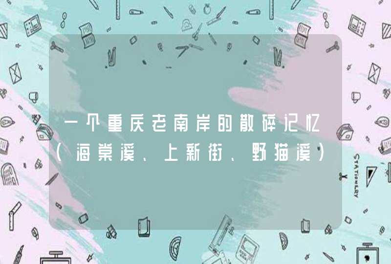 一个重庆老南岸的散碎记忆（海棠溪、上新街、野猫溪）,第1张