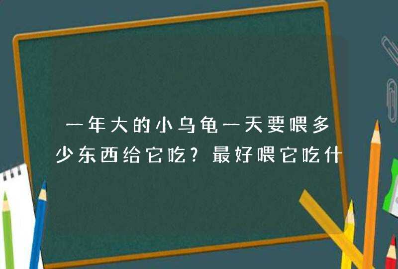 一年大的小乌龟一天要喂多少东西给它吃？最好喂它吃什么？,第1张