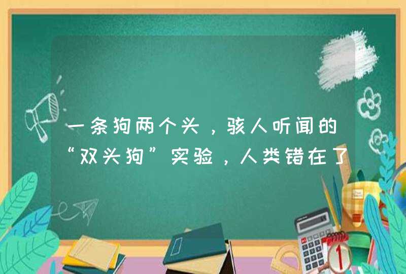 一条狗两个头，骇人听闻的“双头狗”实验，人类错在了哪里呢,第1张