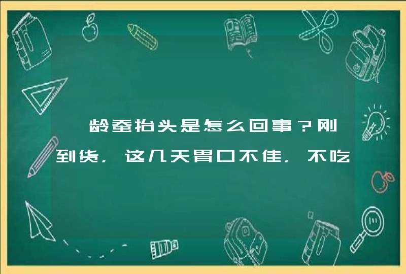 一龄蚕抬头是怎么回事？刚到货，这几天胃口不佳，不吃桑叶，总是仰着头，以为喂得不是桑叶瞎折腾，求解答,第1张