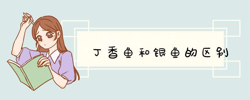 丁香鱼和银鱼的区别,第1张