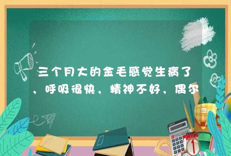 三个月大的金毛感觉生病了，呼吸很快，精神不好，偶尔有恶心症状，吃了感冒药，无效，一直10多天了，到,第1张