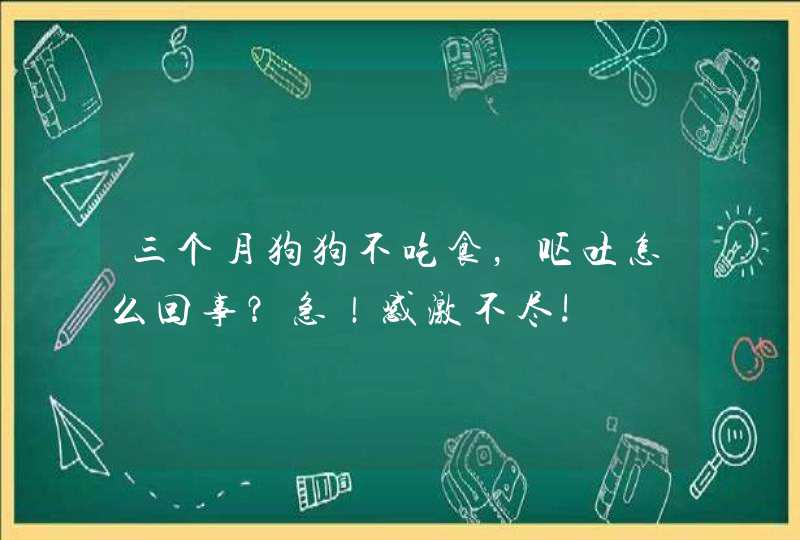 三个月狗狗不吃食，呕吐怎么回事？急！感激不尽!,第1张