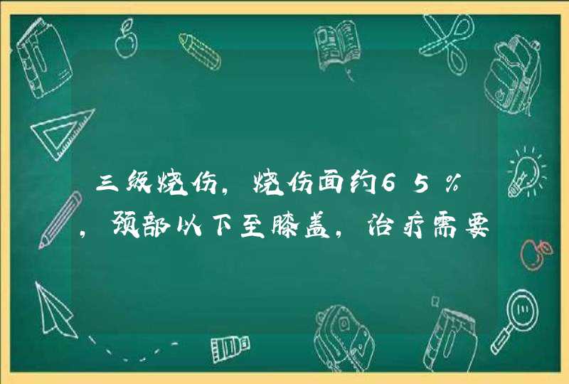 三级烧伤，烧伤面约65%，颈部以下至膝盖，治疗需要多少钱,第1张