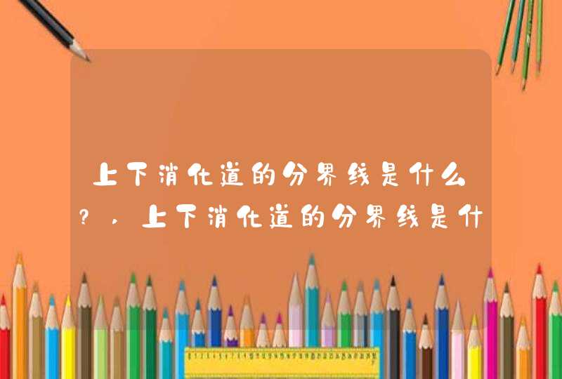 上下消化道的分界线是什么?,上下消化道的分界线是什么韧带,第1张