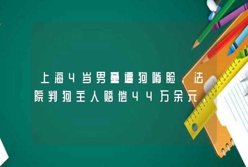 上海4岁男童遭狗啃脸，法院判狗主人赔偿44万余元，你觉得此判决合理吗？,第1张