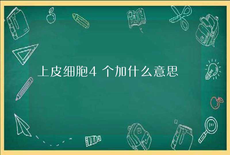 上皮细胞4个加什么意思,第1张