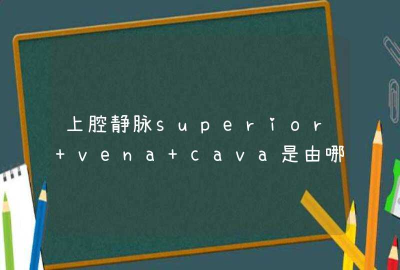 上腔静脉superior vena cava是由哪几部分组成的？郴州医院招聘培训,第1张