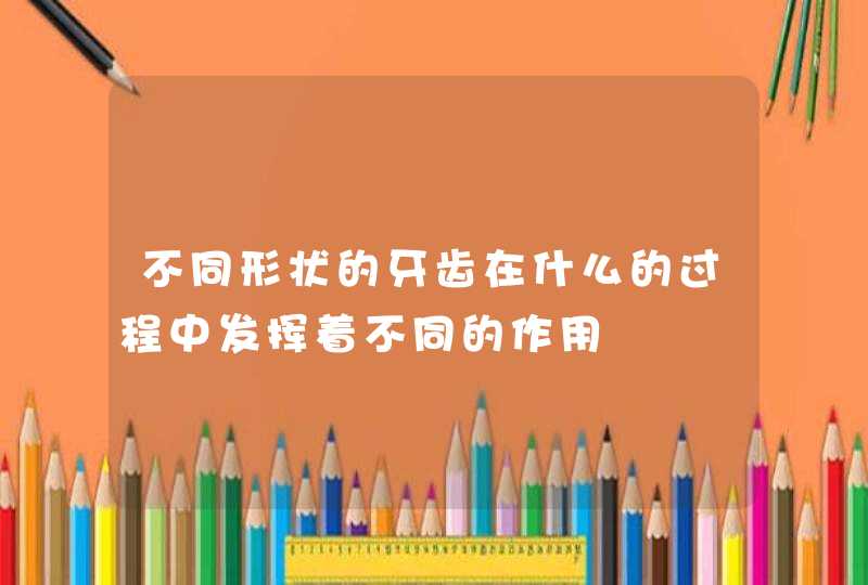 不同形状的牙齿在什么的过程中发挥着不同的作用,第1张