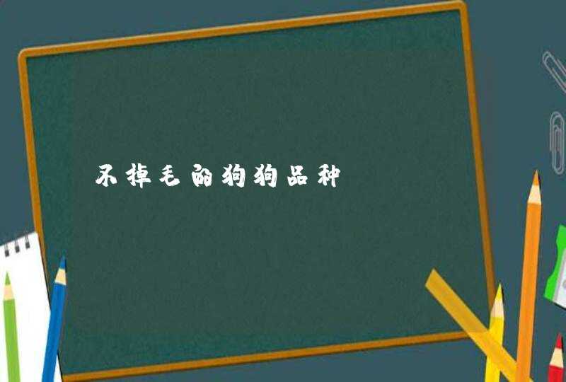 不掉毛的狗狗品种,第1张