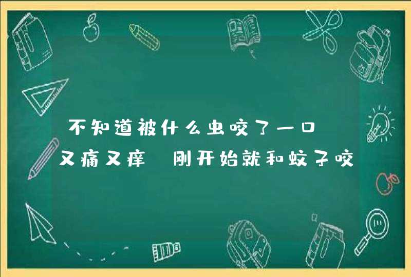 不知道被什么虫咬了一口，又痛又痒，刚开始就和蚊子咬的包一样，后来变的和烫伤一样，痒的难受啊，涂什么,第1张