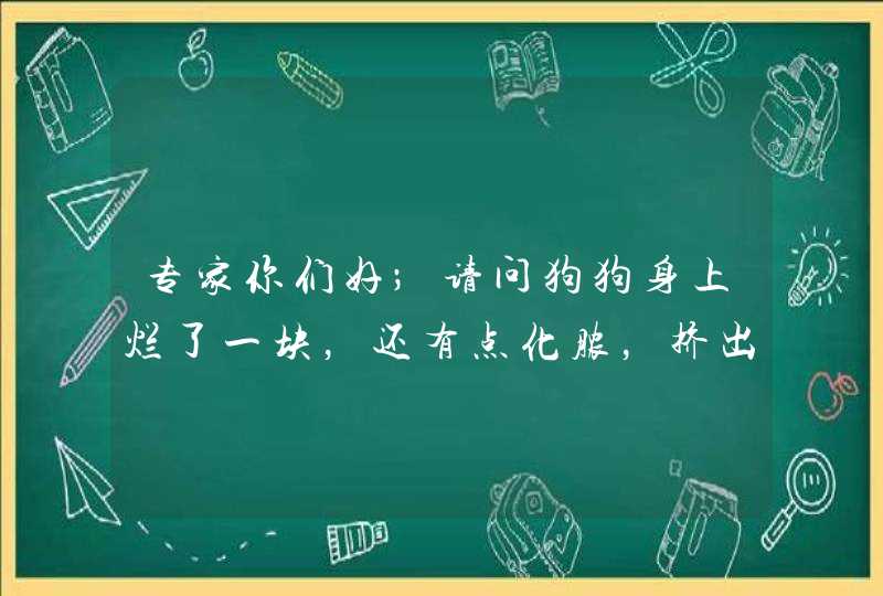 专家你们好；请问狗狗身上烂了一块，还有点化脓，挤出脓水就出现一个小洞，请问这是什么病，怎么治疗？,第1张