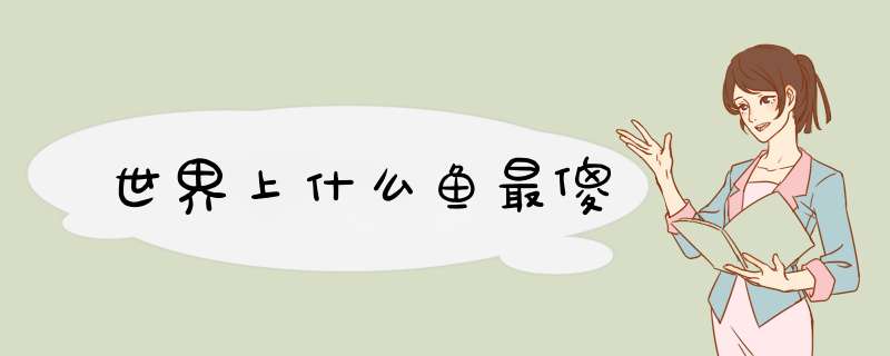 世界上什么鱼最傻,第1张