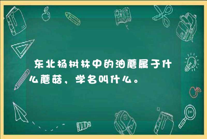 东北杨树林中的油蘑属于什么蘑菇，学名叫什么。,第1张