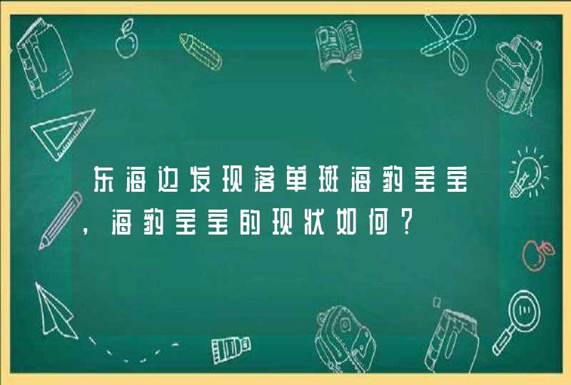 东海边发现落单斑海豹宝宝，海豹宝宝的现状如何？,第1张