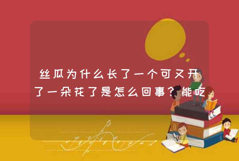 丝瓜为什么长了一个可又开了一朵花了是怎么回事?能吃吗,第1张