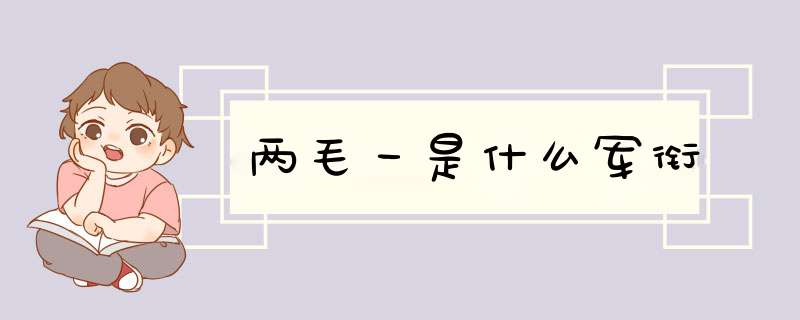 两毛一是什么军衔,第1张