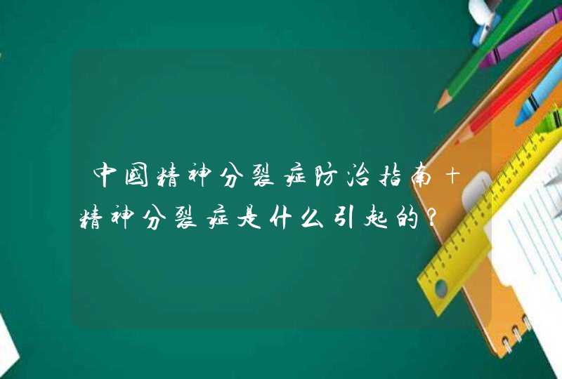 中国精神分裂症防治指南 精神分裂症是什么引起的？,第1张