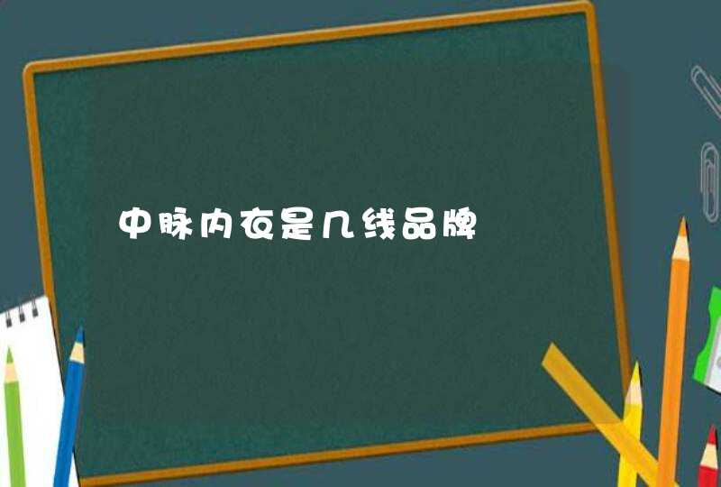 中脉内衣是几线品牌,第1张