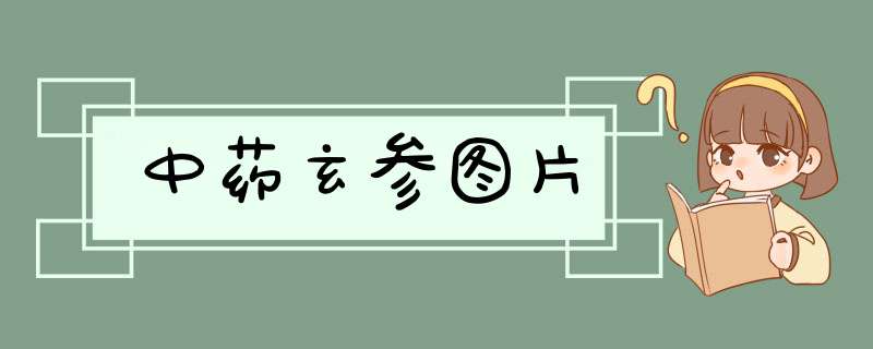 中药玄参图片,第1张