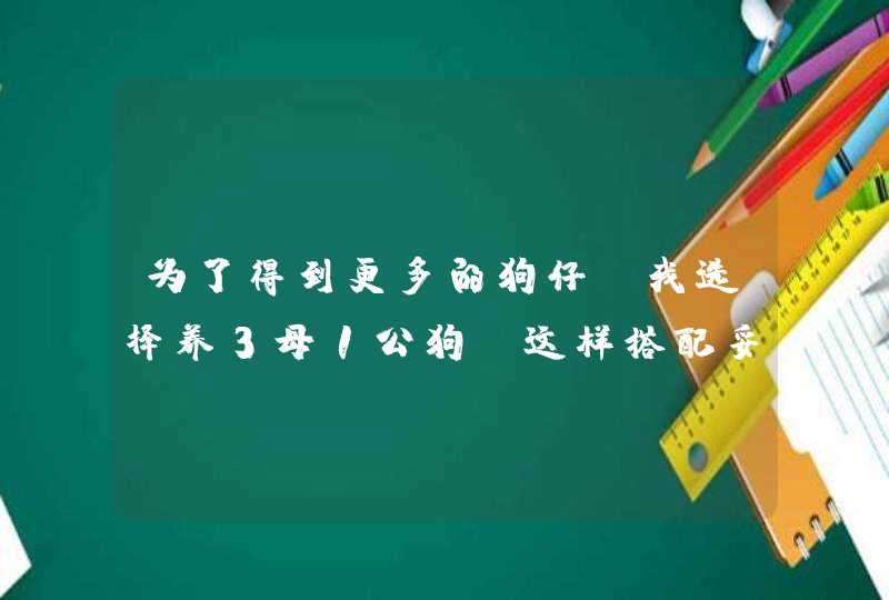 为了得到更多的狗仔 我选择养3母1公狗 这样搭配妥当吗 公狗能完成3个伴侣的使命吗？,第1张