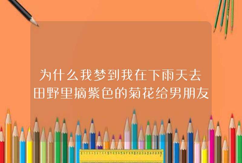 为什么我梦到我在下雨天去田野里摘紫色的菊花给男朋友,第1张