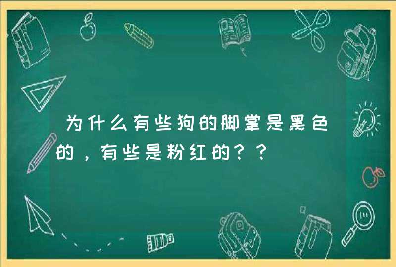 为什么有些狗的脚掌是黑色的，有些是粉红的？？,第1张