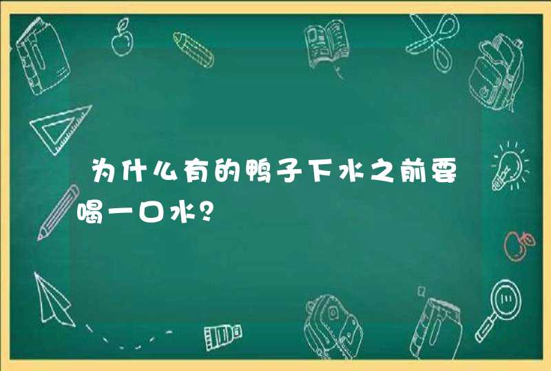 为什么有的鸭子下水之前要喝一口水？,第1张