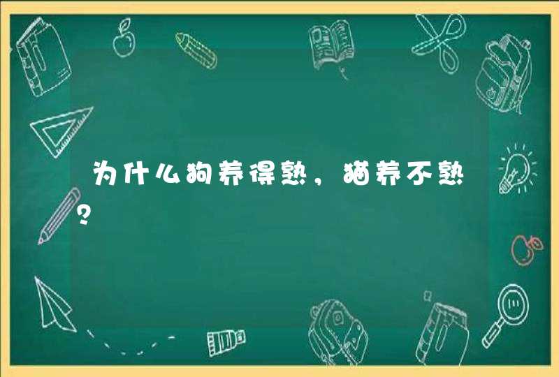 为什么狗养得熟，猫养不熟？,第1张