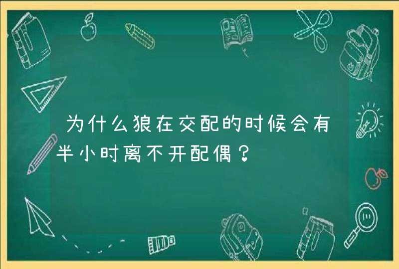 为什么狼在交配的时候会有半小时离不开配偶？,第1张