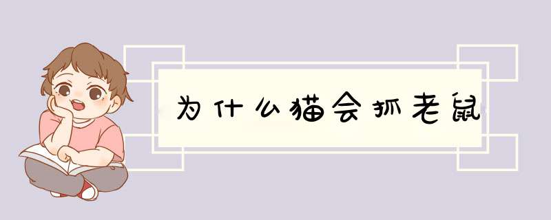 为什么猫会抓老鼠,第1张