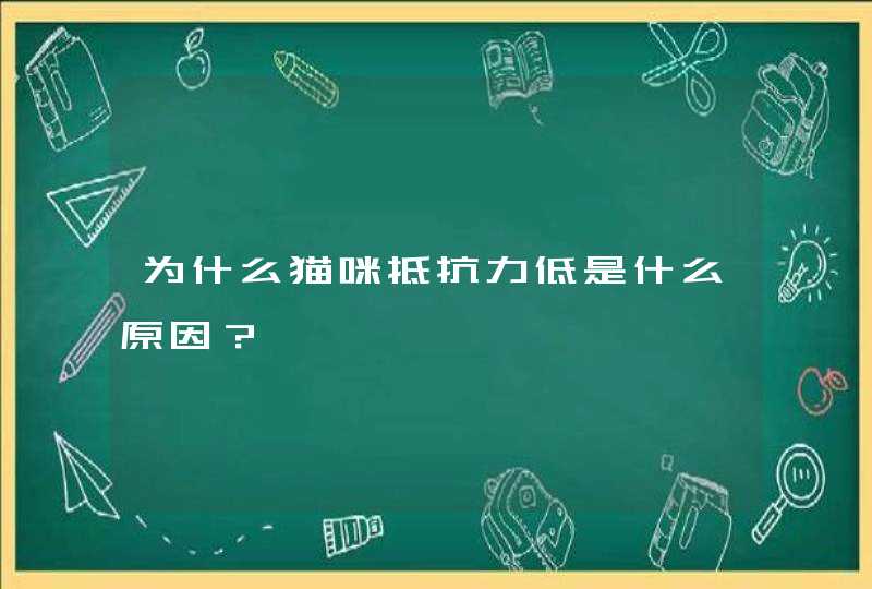 为什么猫咪抵抗力低是什么原因？,第1张