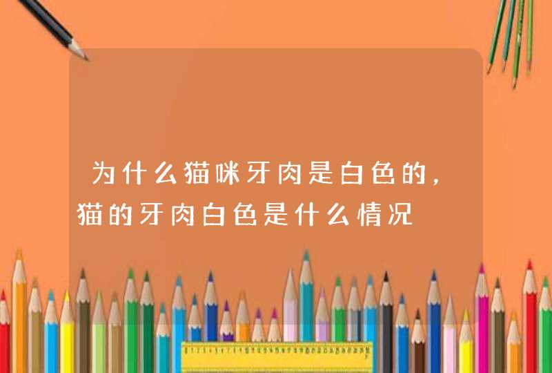 为什么猫咪牙肉是白色的，猫的牙肉白色是什么情况,第1张