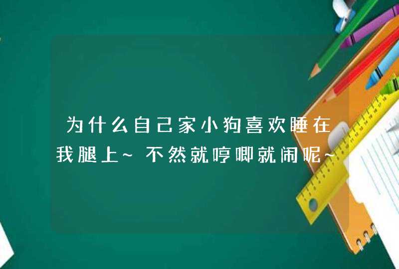 为什么自己家小狗喜欢睡在我腿上~不然就哼唧就闹呢~,第1张