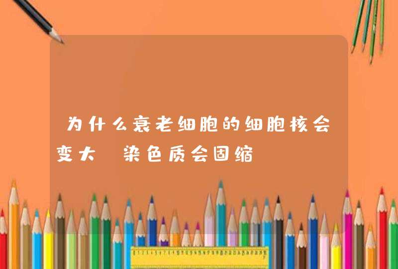 为什么衰老细胞的细胞核会变大,染色质会固缩,第1张