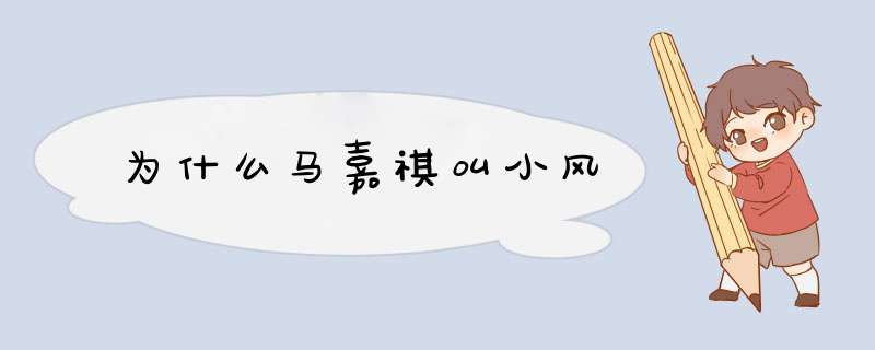 为什么马嘉祺叫小风,第1张