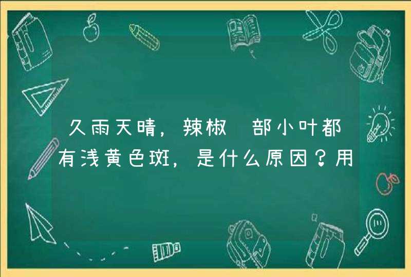 久雨天晴，辣椒顶部小叶都有浅黄色斑，是什么原因？用什么农药可冶？,第1张