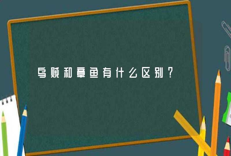 乌贼和章鱼有什么区别？,第1张