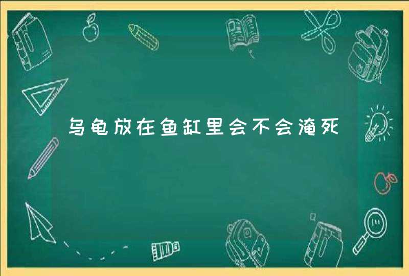 乌龟放在鱼缸里会不会淹死,第1张