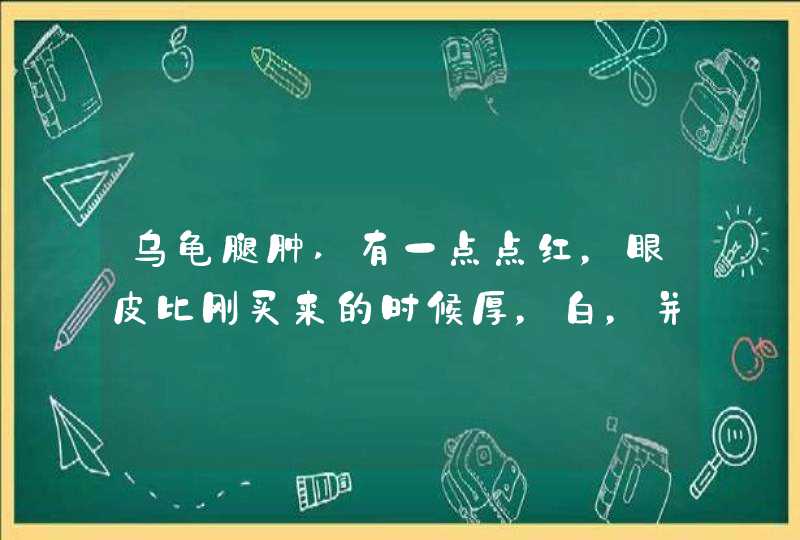 乌龟腿肿,有一点点红，眼皮比刚买来的时候厚，白，并且总是闭着,第1张