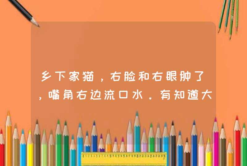 乡下家猫，右脸和右眼肿了，嘴角右边流口水。有知道大概怎么回事的吗？,第1张