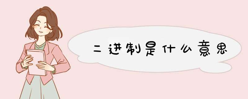 二进制是什么意思,第1张