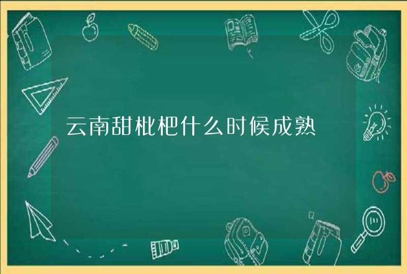 云南甜枇杷什么时候成熟,第1张