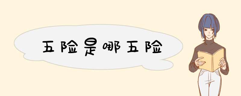 五险是哪五险,第1张