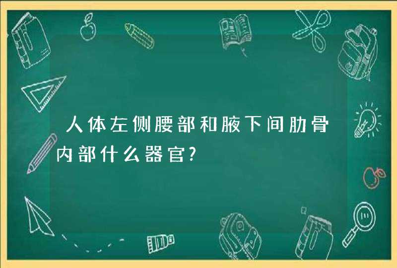 人体左侧腰部和腋下间肋骨内部什么器官?,第1张